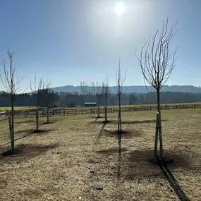 Bild von Pinpoint Landscapes