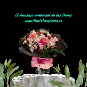 17954314-1-xj9ltlxkIZ1752533482606.jpeg