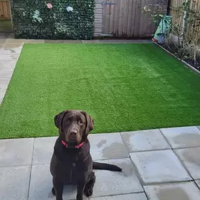 Bild von Artificial Grass Direct