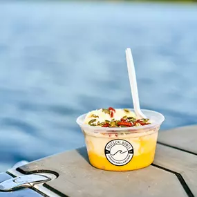 Bild von Nautical Bowls