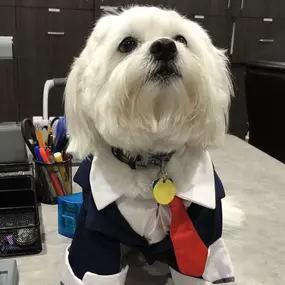 Harris Cook, LLP | Southlake, TX