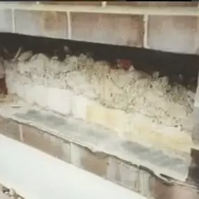 Bild von Dampfixer Ltd