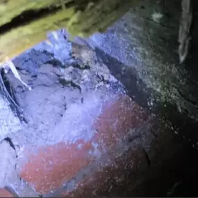 Bild von Dampfixer Ltd