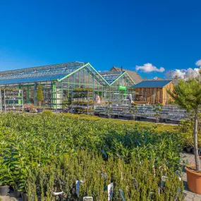 Bild von Stauden Hansen GbR