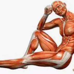 Bild von Praxis für Physiotherapie Unterschweinbach