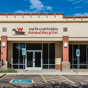 Bild von North Scottsdale Animal Hospital