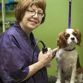 Bild von North Scottsdale Animal Hospital