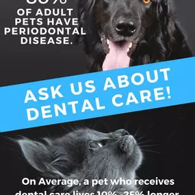 Bild von North Scottsdale Animal Hospital