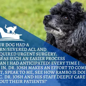 Bild von North Scottsdale Animal Hospital