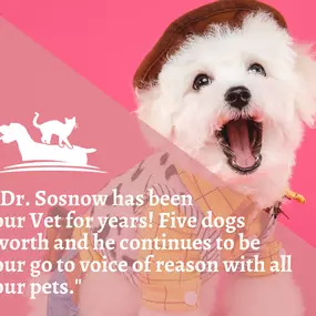 Bild von North Scottsdale Animal Hospital