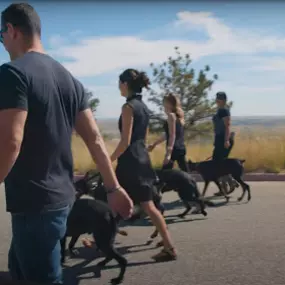 Bild von Traction Dog Training Club