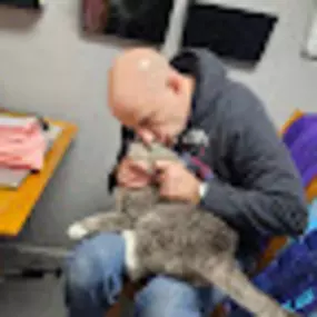 Bild von Hearts of Love Cat Rescue & Adoption