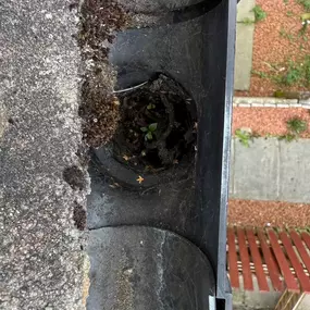 Bild von D Jordan & Son Gutter Maintenance