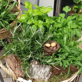 Bild von Blumenparadies und Biologischer Gartenbau Becher