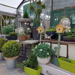 Bild von Blumenparadies und Biologischer Gartenbau Becher