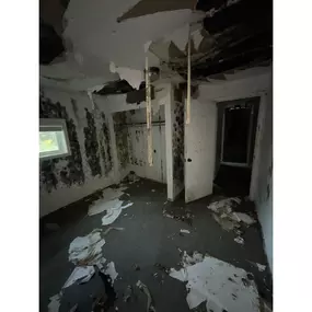 mold-damaged room