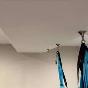 Ceiling Moisture Check
