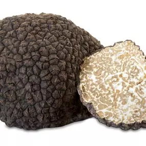 trufa-verano-tuber-aestivum-la-truferia.jpg