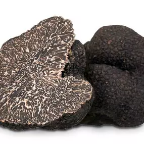 trufa-negra-tuber-melaospoum-la-truferia.jpg