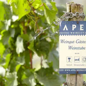 Bild von Weingut Hubertus M. Apel