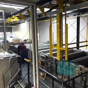 Bild von Niemann Anlagenbau und Fördertechnik GmbH