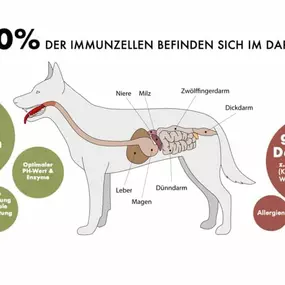 Tanja Stieblehner - Ernährungstrainerin REICO VITAL - Spezialist für Hund, Katze und Mensch