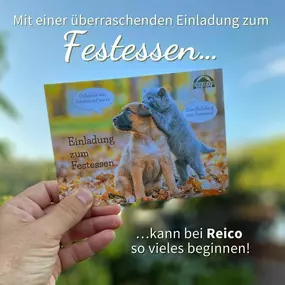 Tanja Stieblehner - Ernährungstrainerin REICO VITAL - Spezialist für Hund, Katze und Mensch