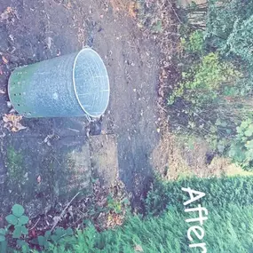 Bild von PG Garden Maintenance