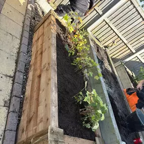 Bild von PG Garden Maintenance