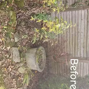 Bild von PG Garden Maintenance