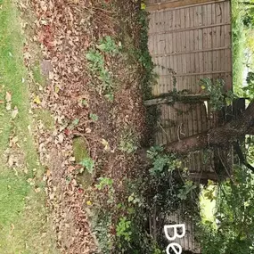 Bild von PG Garden Maintenance
