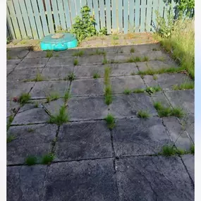 Bild von PG Garden Maintenance