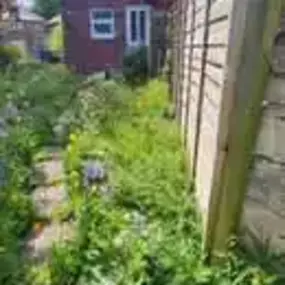 Bild von PG Garden Maintenance
