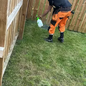 Bild von PG Garden Maintenance