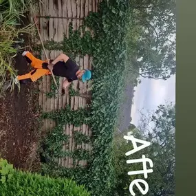 Bild von PG Garden Maintenance