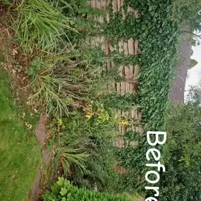 Bild von PG Garden Maintenance