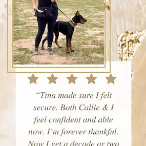 Bild von Traction Dog Training Club