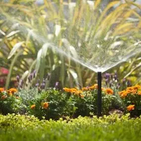 Bild von GreenGate Turf, Pest, & Irrigation