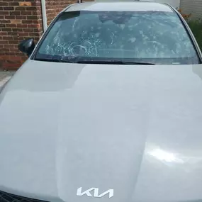 Bild von Skyview Auto Glass Lathrup Village