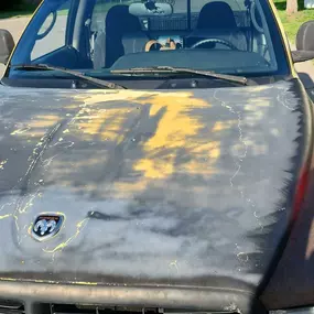 Bild von Skyview Auto Glass Lathrup Village