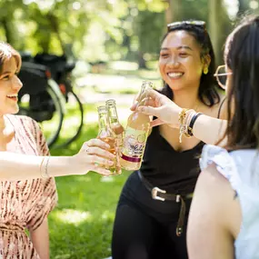 Bringsl-Limonade online kaufen