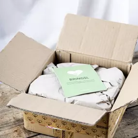 Bringsl Geschenkebox