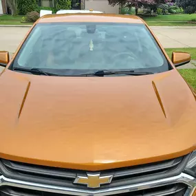 Bild von Skyview Auto Glass Walled Lake
