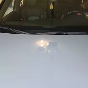 Bild von Skyview Auto Glass Walled Lake