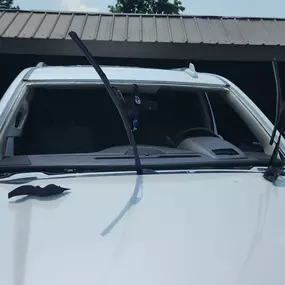 Bild von Skyview Auto Glass Walled Lake