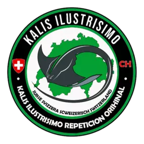 Bild von Kampfkunst Zirkel Bearhard