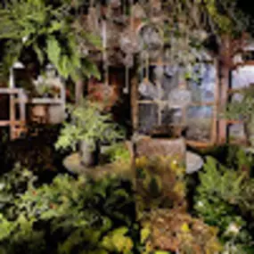 Bild von Piney Creek Greenhouse & Florist