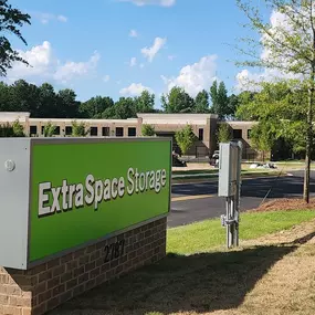 Alternate Beauty Image