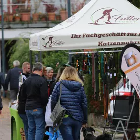 Bild von B10 Wilferdingen