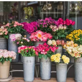 Bild von Blumen Wohlers Inh. Kathrin Schöning